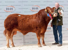 Load image into Gallery viewer, CORRIDAN HAKKA