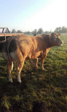 Load image into Gallery viewer, Withersdale Invader