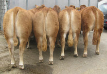 Load image into Gallery viewer, MILBROOK VIC