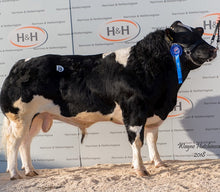 Load image into Gallery viewer, TAMHORN ENTERPRISING ET