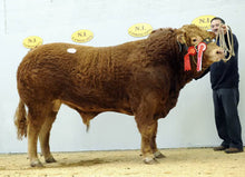 Load image into Gallery viewer, MILBROOK VIC
